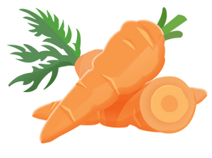 Carottes
